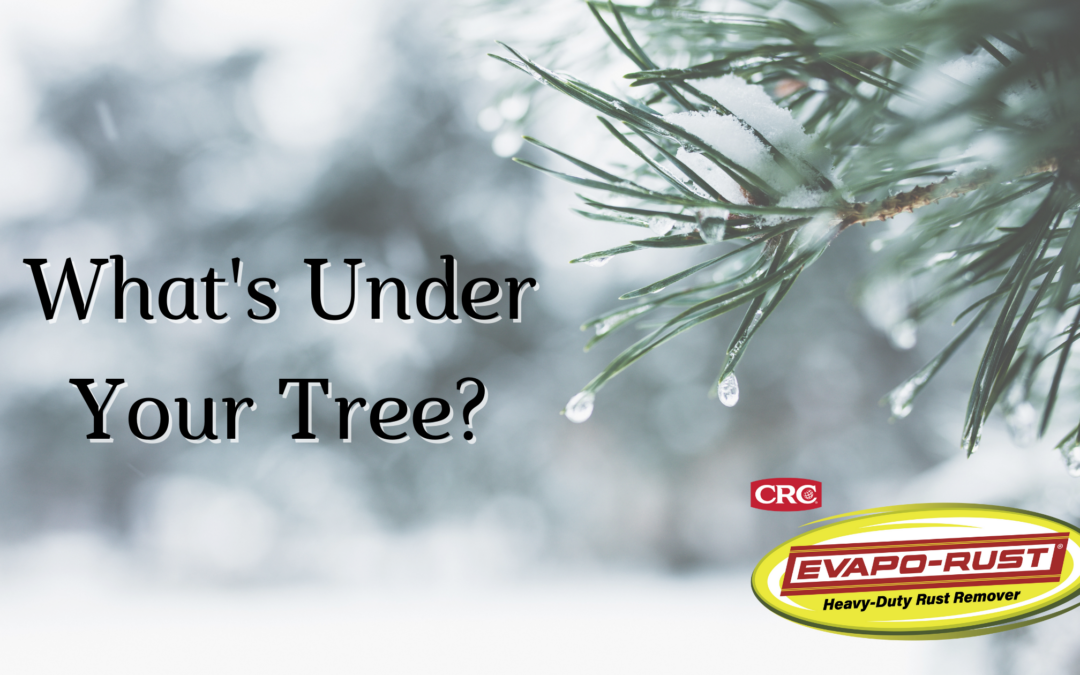 What’s Under Your Tree?